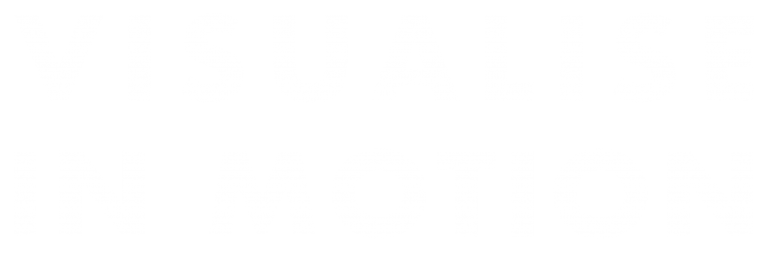 Visualise in Motion logo